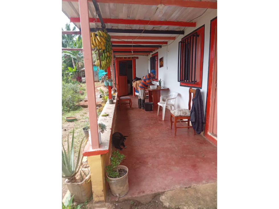 Vendo hermosa finca cafetera platanera y frutales agua propia - 1