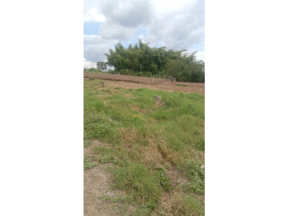 SE VENDE O PERMUTA LOTE AREA 3000 M2 POR CONDINA CERCA A VALLARTA
