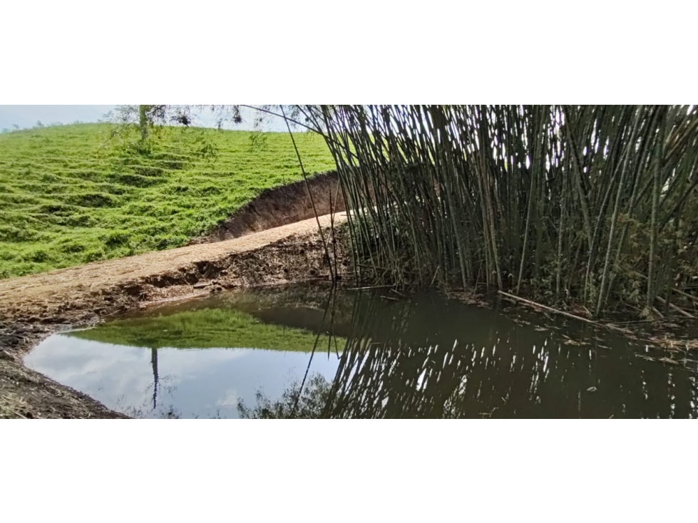 Se venden lotes campestres? desde 1.250 m² en Alcalá — foto 3