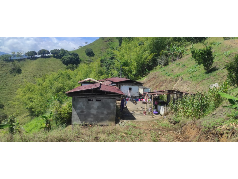 Vendo Finca en la vereda Conventos en Caldas - 1