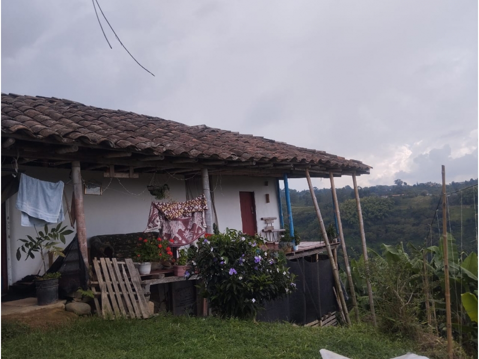 SE VENDE FINCA PARA INVERSIÓN POR MUNDO NUEVO ALTO
