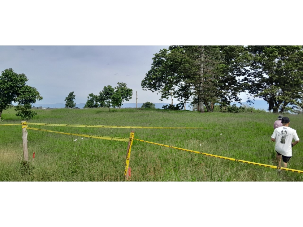 Se venden lotes amplios desde 1.000m² en Pereira