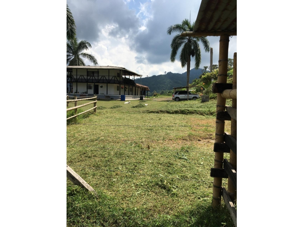 SE VENDE O SE PERMUTA FINCA VIA MARSELLA EXCELENTE UBICACIÓN - 1