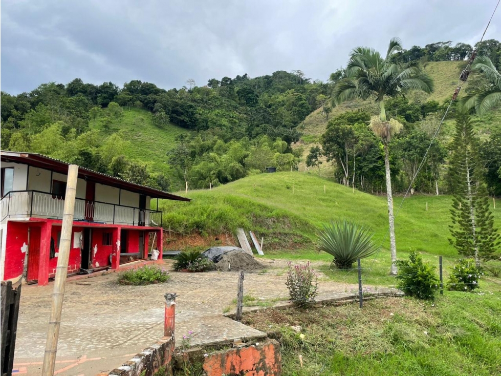 SE VENDE FINCA VEREDA LA HONDA EN COMBIA
