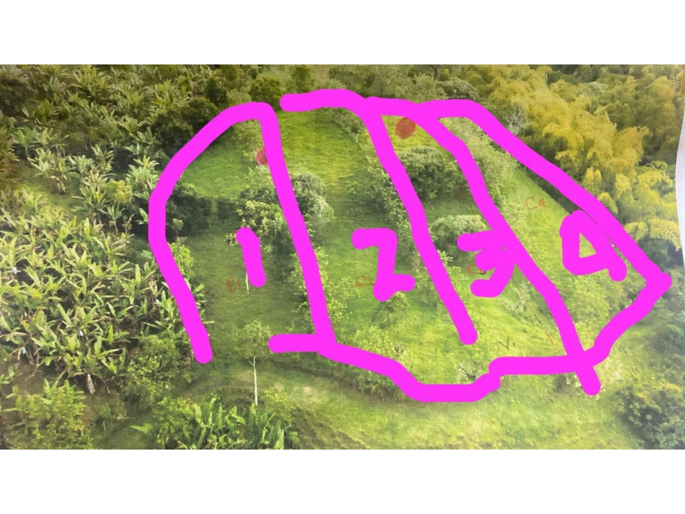 Se venden lotes desde 1.000 m² vía Arabia Betulia