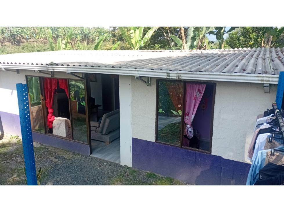 SE VENDE FINCA EN LA BETULIA