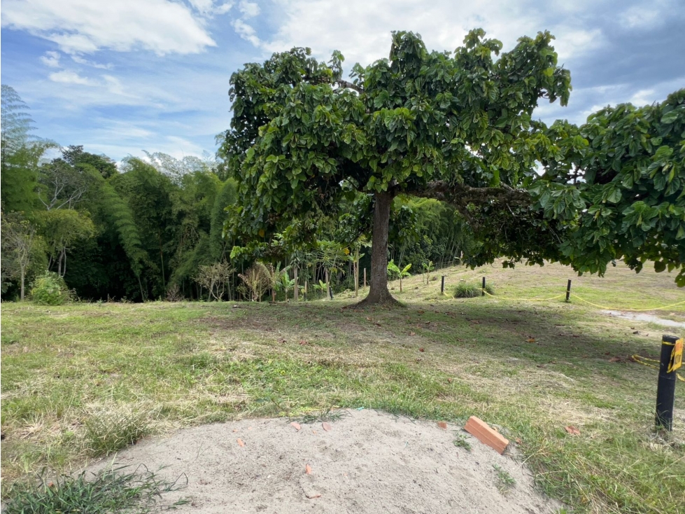 SE VENDE LOTE POR CONDINA CERCA AL REY DEL GUISO AREA 2200M2
