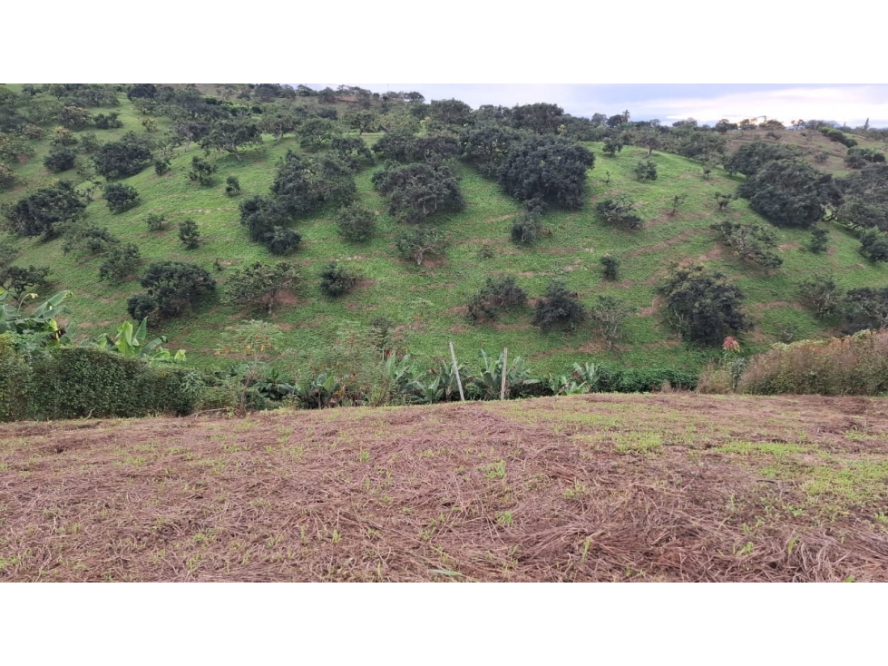 Se vende lote campestre en Morelia en condominio