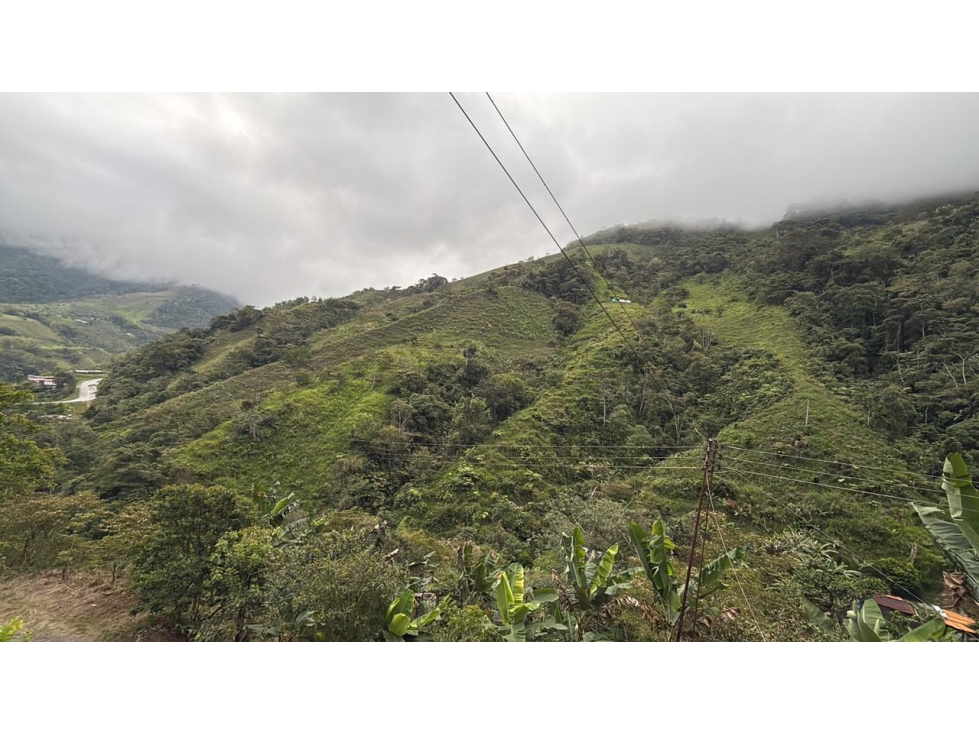 Se venden 2 fincas juntas en Pueblo Rico - 1