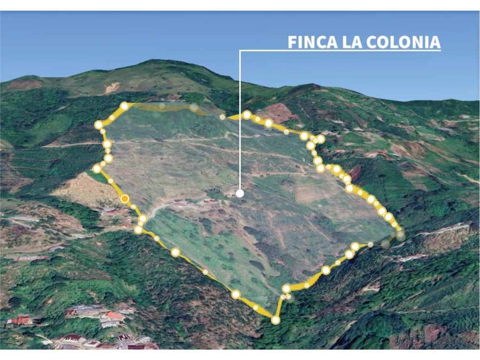 Se vende finca cafetera productiva en Combia