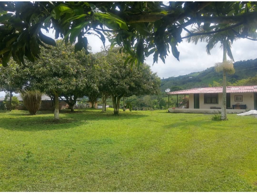 SE VENDE HERMOSA FINCA EN SANTA ROSA