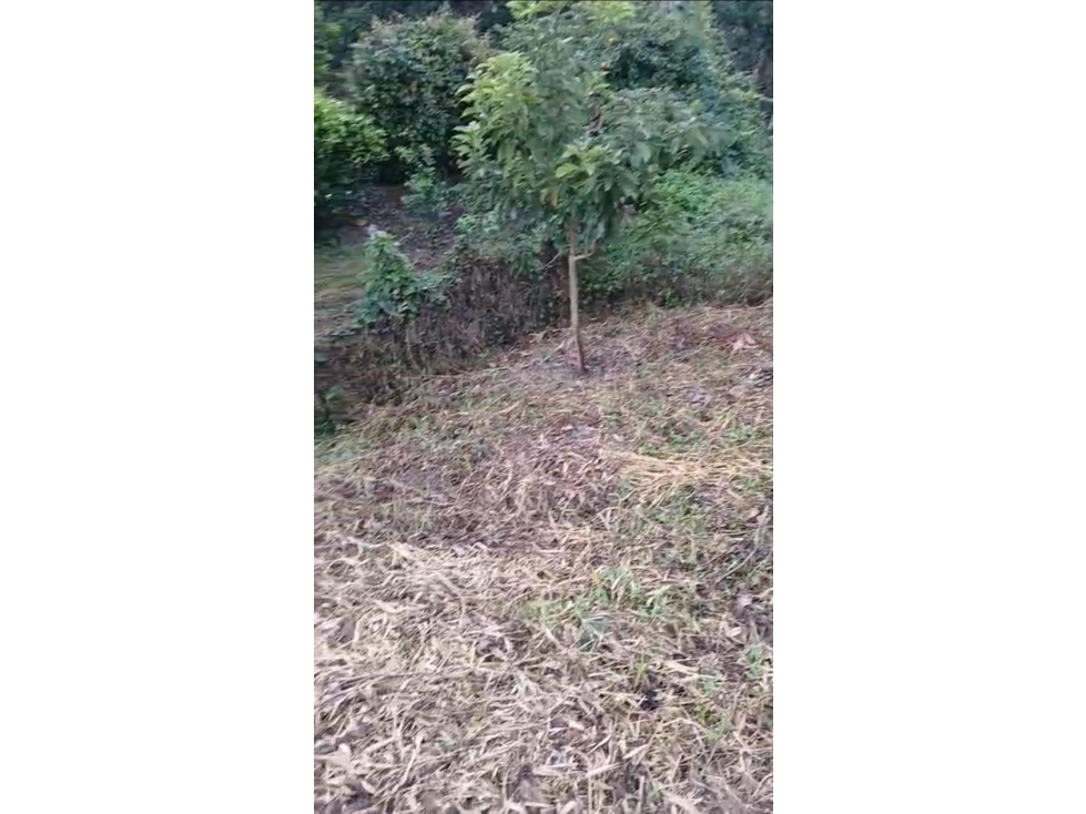 Se vende lote listo para construir en Morelia 250 m²