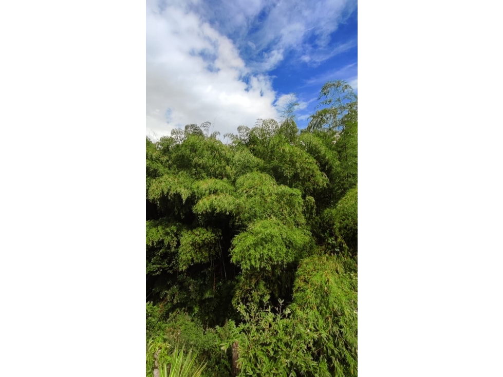 SE VENDE CASA CAMPESTRE VIA LA FLORIDA — foto 5
