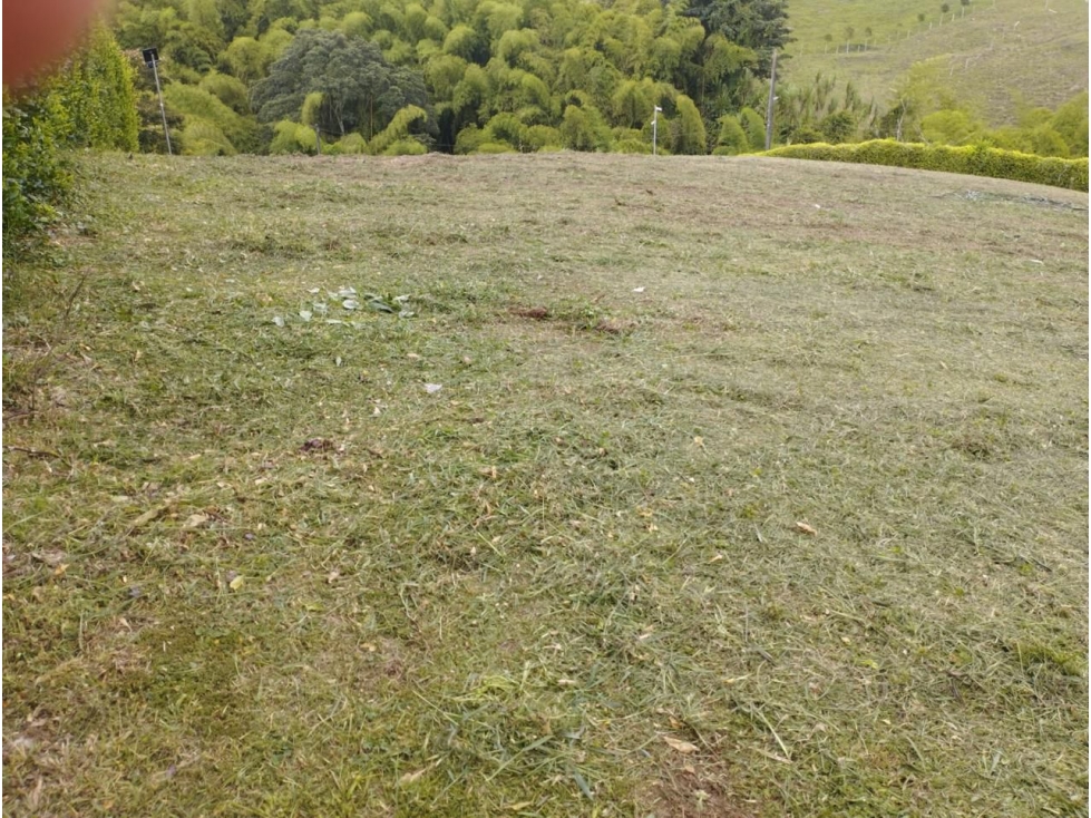 SE VENDE LOTE EN CONDOMINIO CAMPESTRE VIA ARMENIA