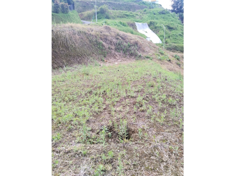SE VENDE LOTE EN CONJUNTO CERRADO VIA ARMENIA