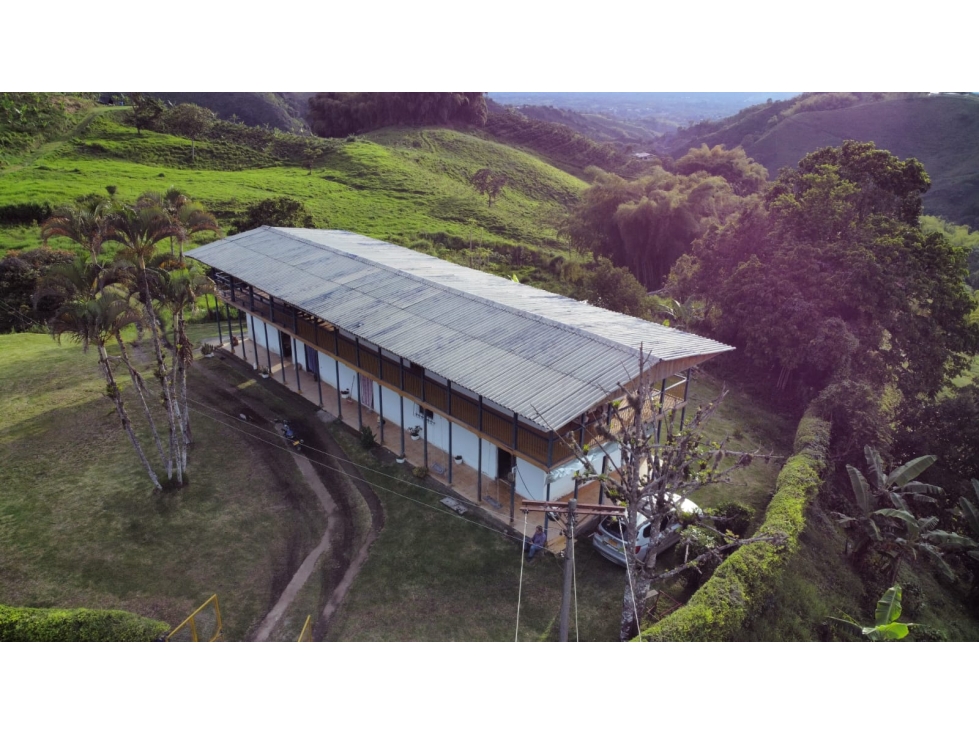 SE VENDE FINCA GANADERA ENTRE ARABIA Y ALCALA - 1