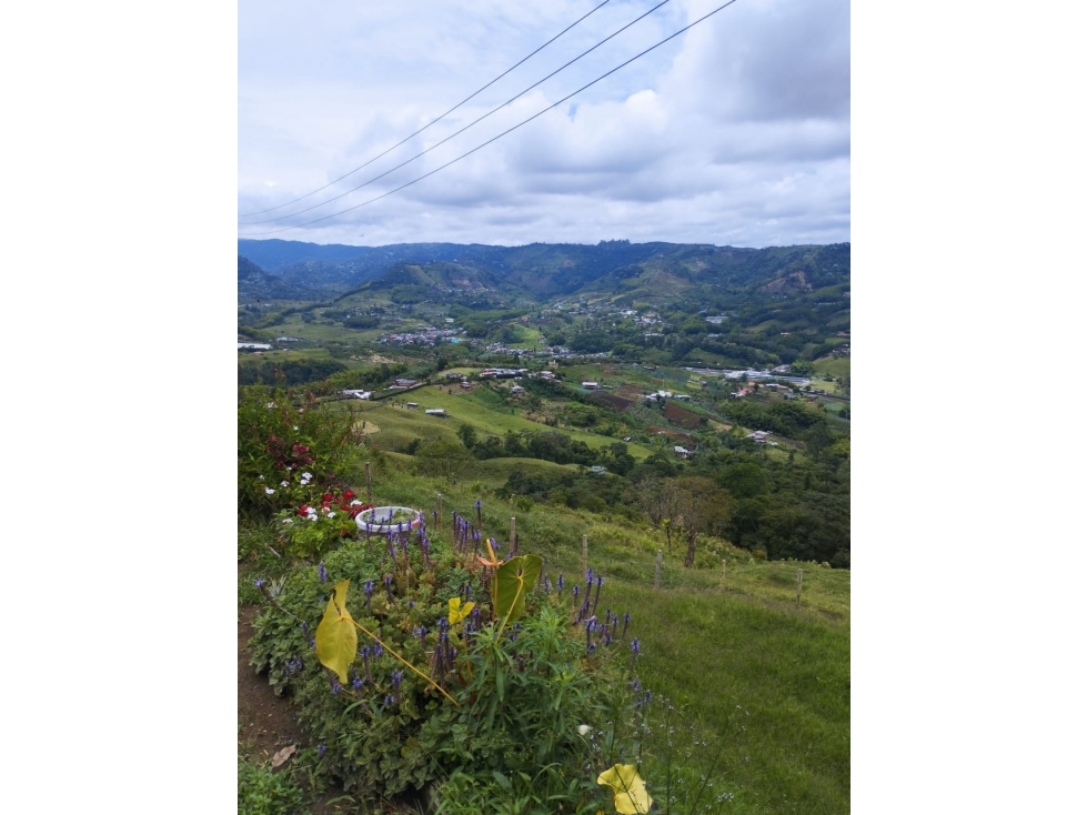 SE VENDE HERMOSA FINCA GANADERA EN LA BELLA CON PROYECTO TURISTICO