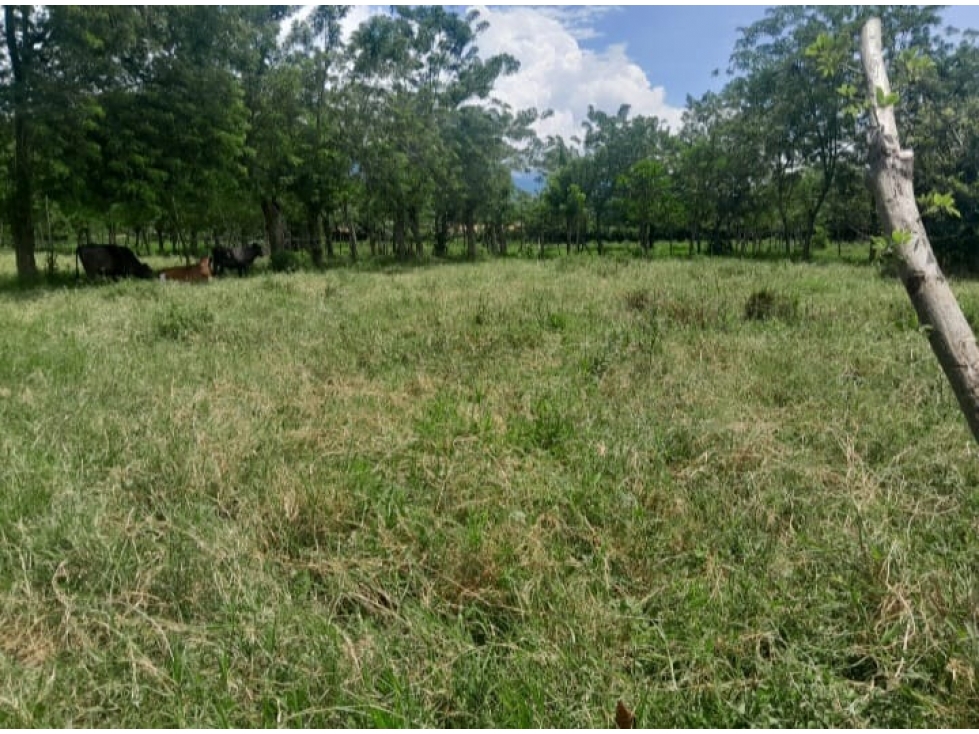 VITERBO SE VENDE LOTE DE 2017 M2 PLANOS - 1