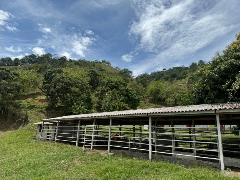 SE VENDE FINCA VIA BELALCAZAR CALDAS