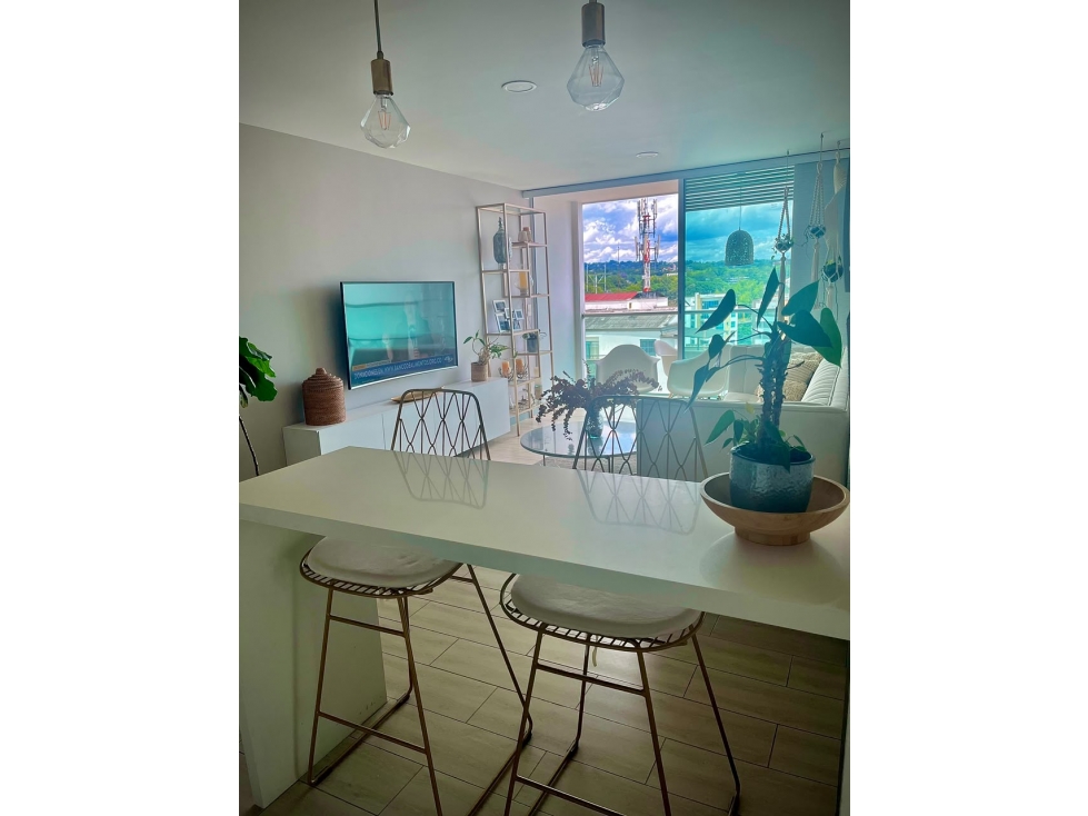 SE VENDE APARTAMENTO EN PINARES — foto 2