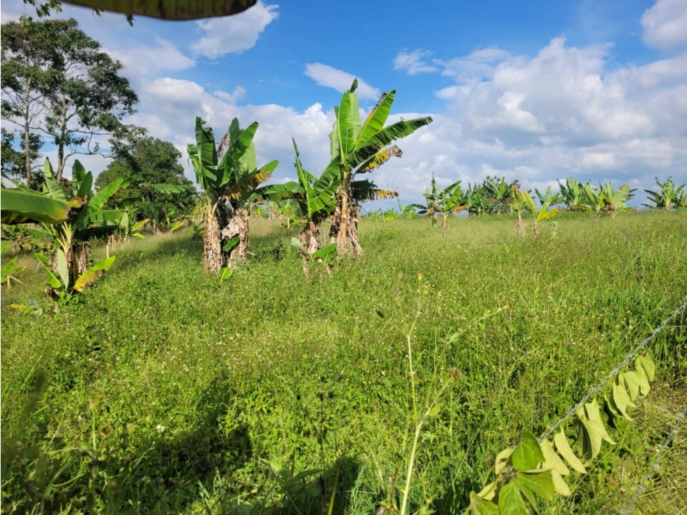 SE VENDE LOTE EN QUIMBAYA - 1