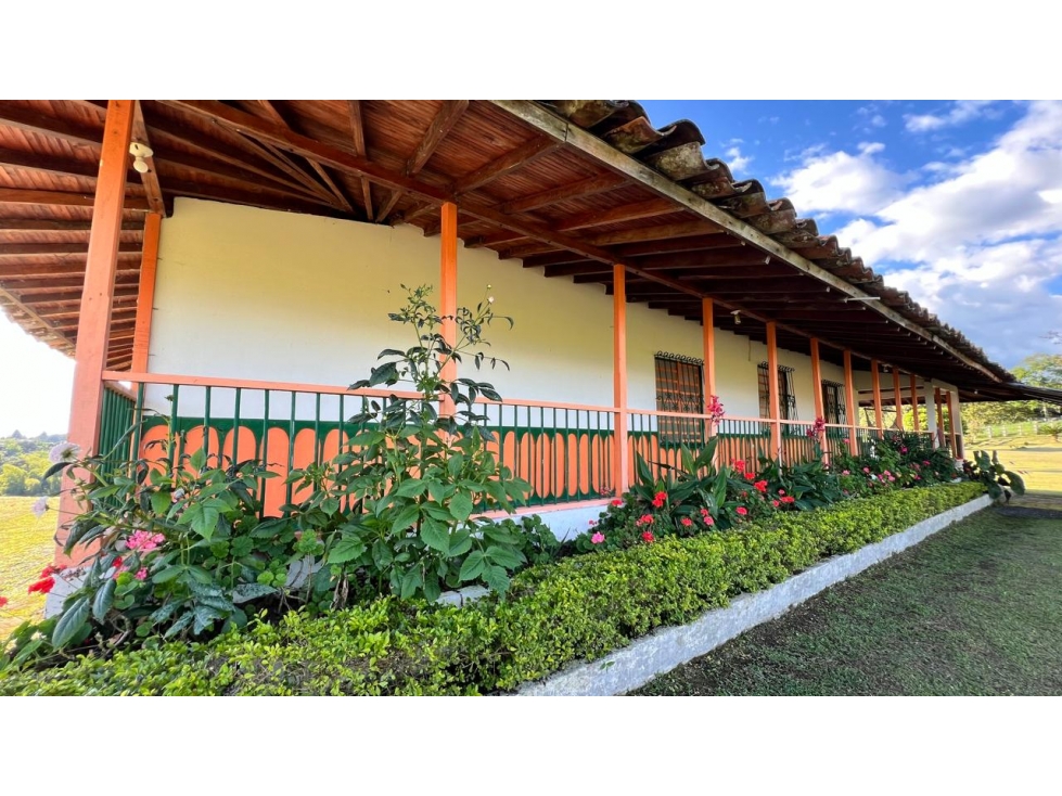 SE VENDE FINCA EN FILANDIA 12 CUADRA Y MEDIA - 1