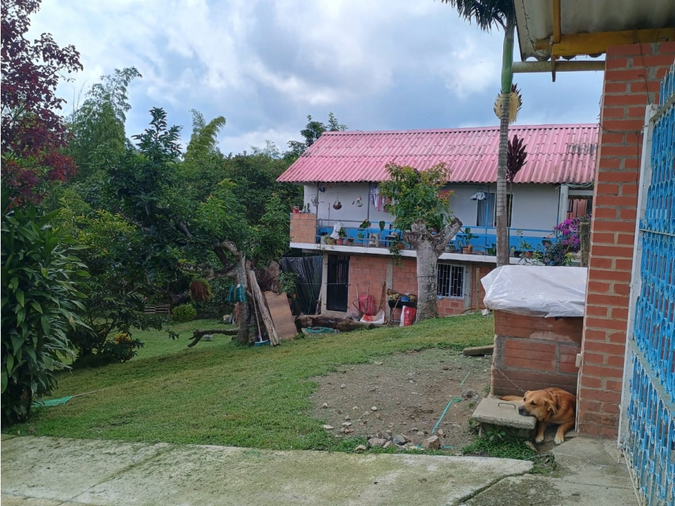 SE VENDE DOS CASAS CAMPESTRES EN YARUMAL CERCA ARABIA — foto 6