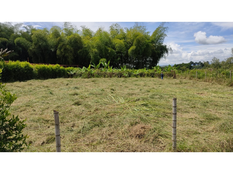 Se vende lote de 1.835 m² en vereda la Unión - Alcalá — foto 5