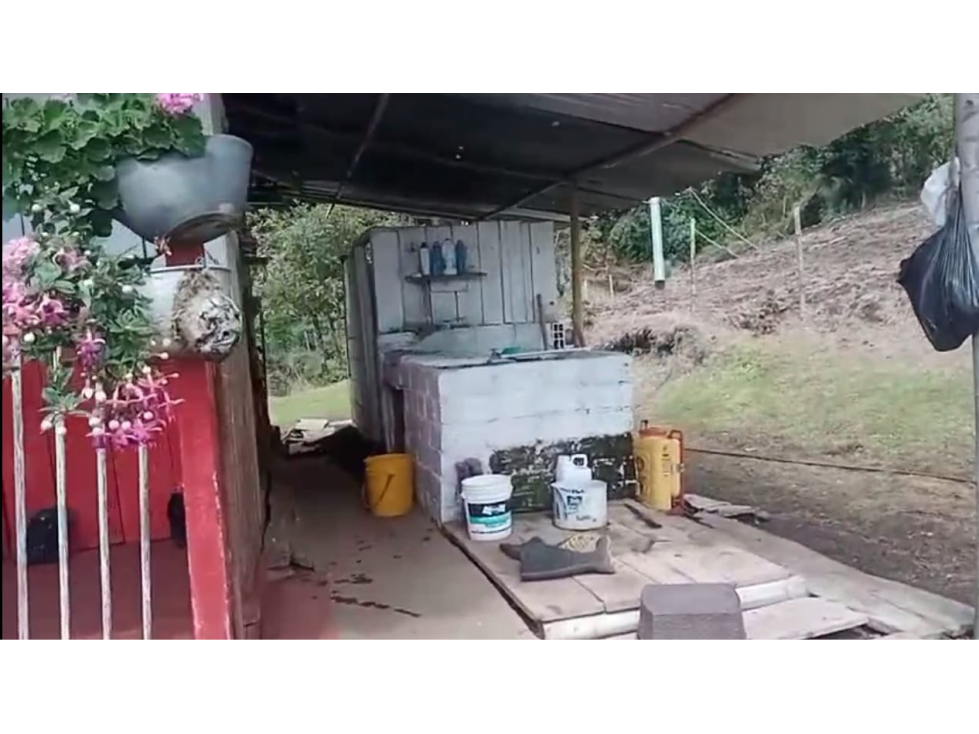 Venta de finca cafetera y arboles frutales en Guatica Risaralda - 4