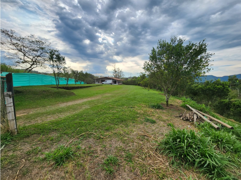 Vendo hermosa finca a 4 cuadras del Crucero de Combia — foto 6