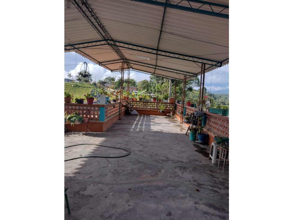Se vende espectacular finca en Salento - 6