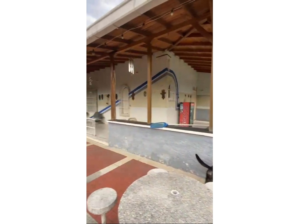 Hermoso lote 10.000 mts2. En Cerritos a 25 mts de la via principal — foto 3