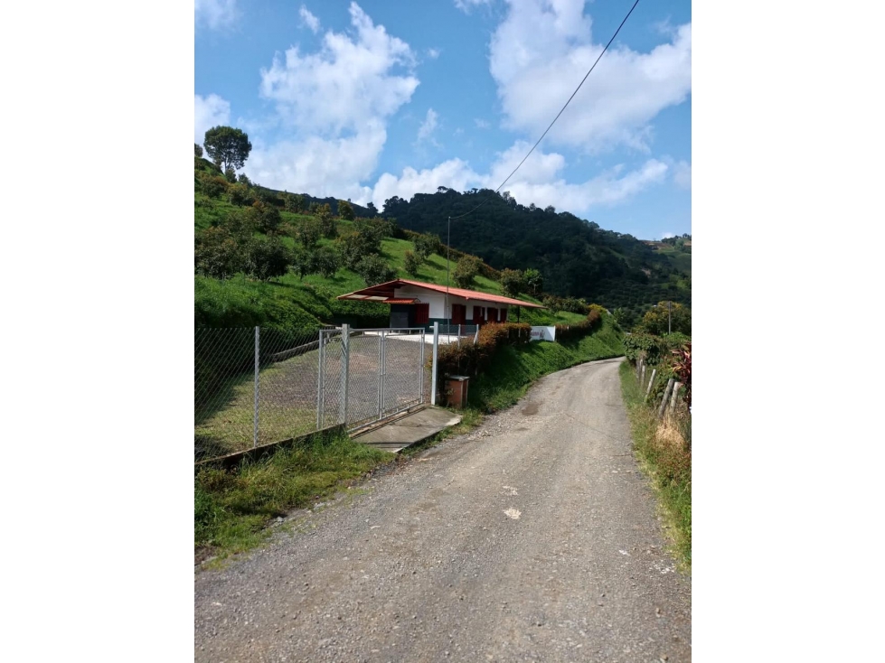 Vendo hermosa casa finca campestre en la Florida — foto 5