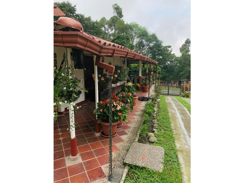 Se vende hermosa Casa Campestre en Circasia, Vía Armenia!!!! — foto 3