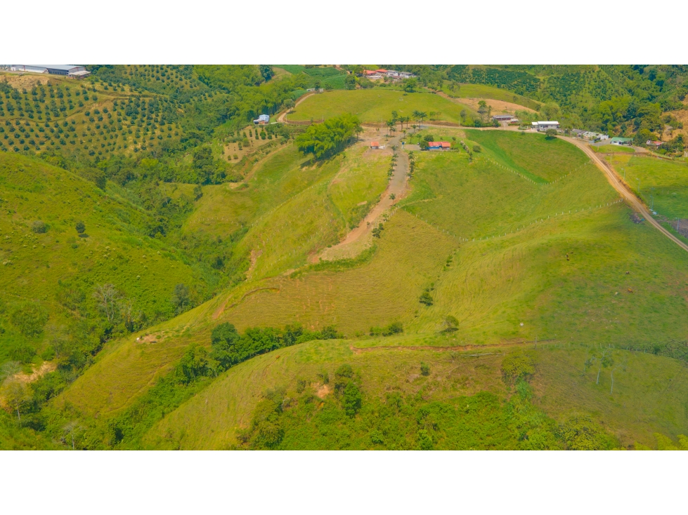 SE VENDEN LOTES ALTAGRACIA PARCELACION SHALOM DIFERENTES AREAS