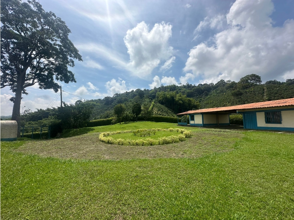 Venta de finca cafetera y aguacatera en el corregimiento de Arabia — foto 3