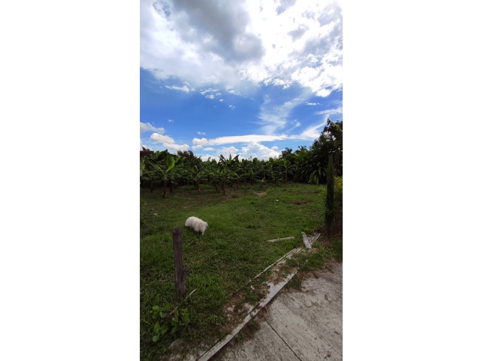SE VENDE ESPECTACULAR LOTE EN CONDOMINIO EN COMBIA — foto 3