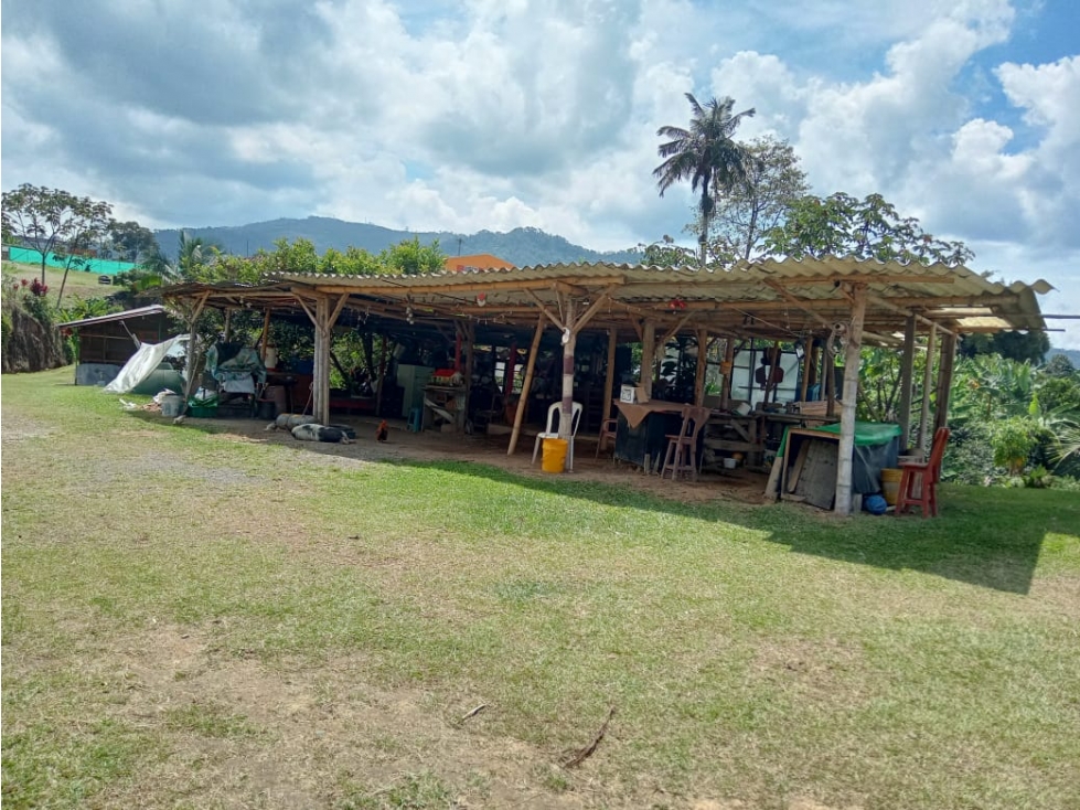 SE VENDE FINCA EN SANTA ROSA VEREDA GUACAS — foto 3