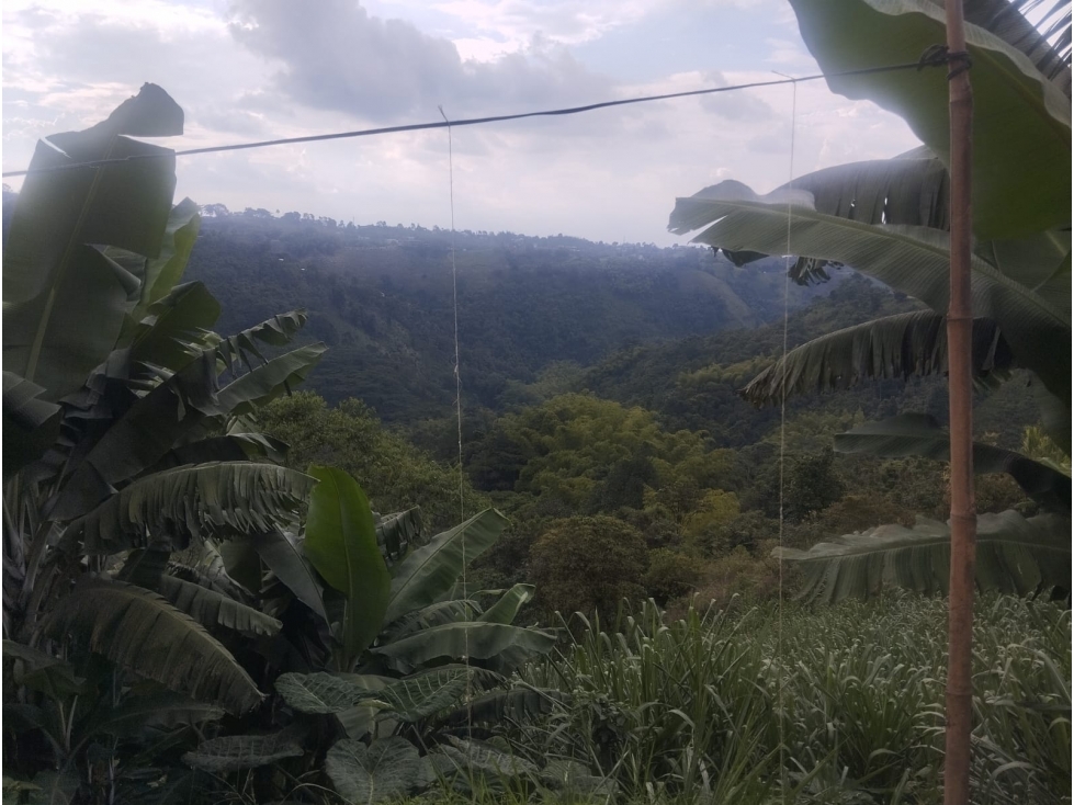 SE VENDE O PERMUTA LOTE EN MUNDO NUEVO 18 CUADRAS — foto 4
