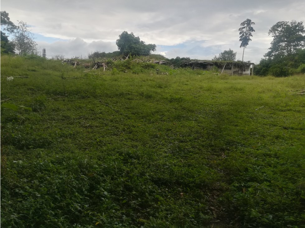 Se vende lote en cerritos - 2