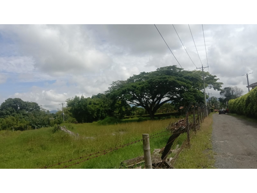SE VENDE LOTE EN CERRITOS USO COMERCIAL Y RESIDENCIAL — foto 2