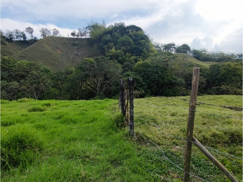 Vendo Finca en Viterbo - Via San Jose — foto 4