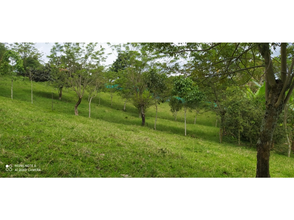 Venta Exclusiva en Arabia: Lote de 2000 m² — foto 2