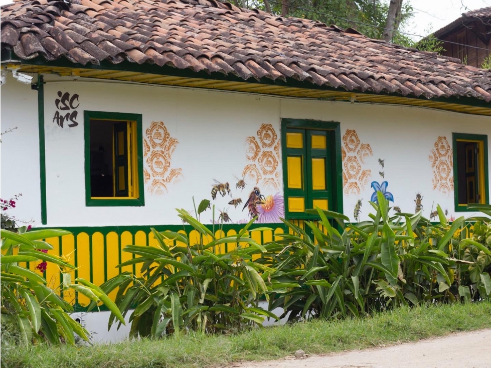 Se Vende Hermosa Casa ubicada en Salento - 1