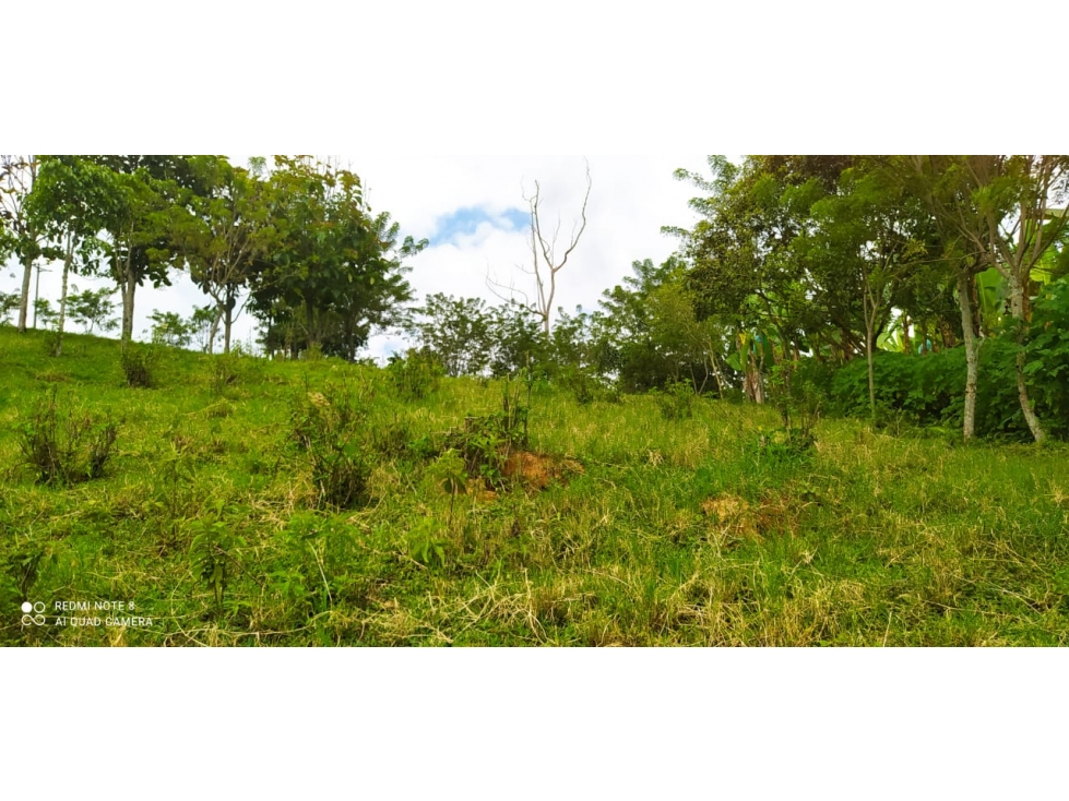 SE VENDEN LOTES EN ARABIA AREAS DESDE 1100 M2 HASTA 8798 M2 — foto 3