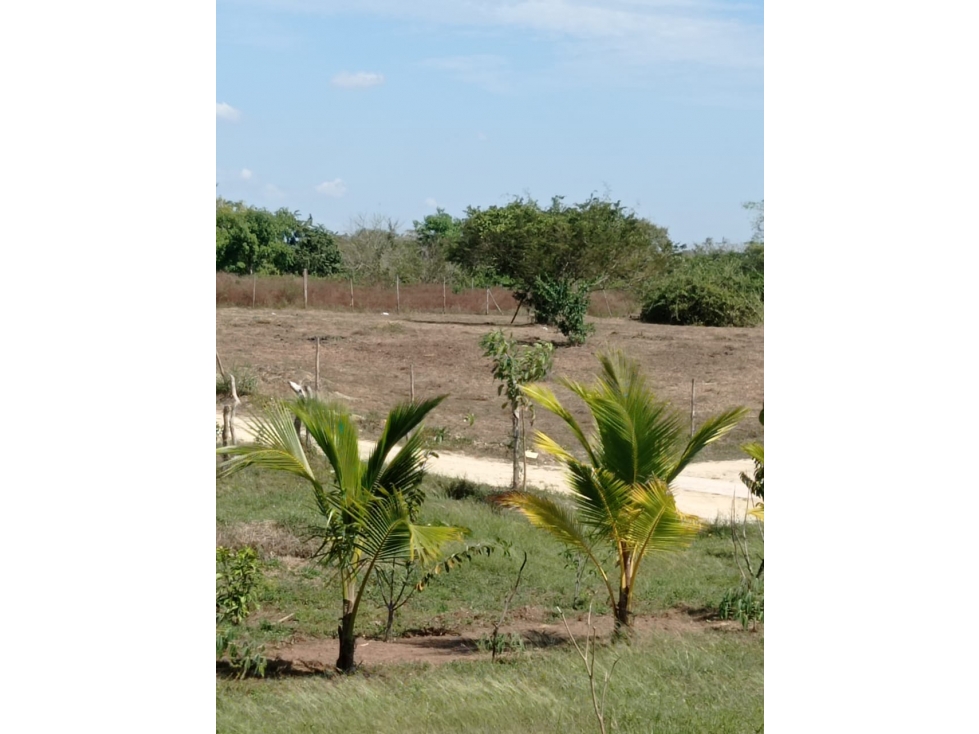 Vendo hermosos lotes en Condominio via a Viterbo — foto 4
