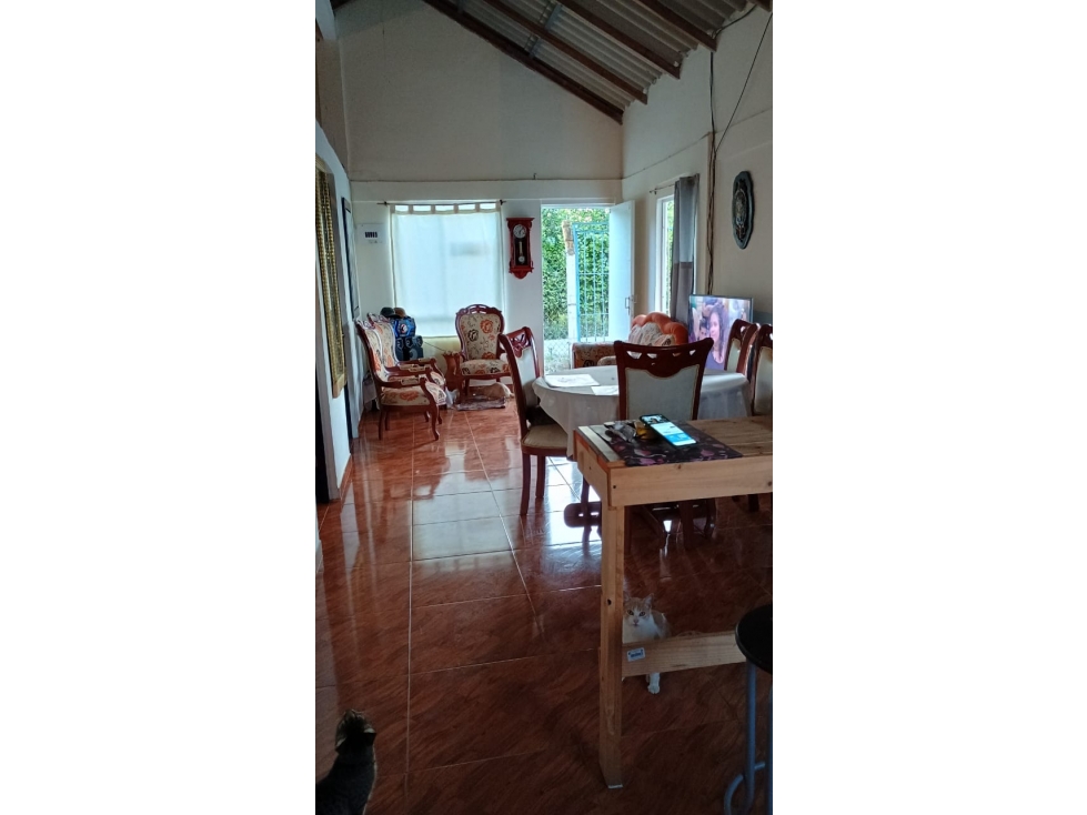 SE VENDE DOS CASAS CAMPESTRES EN YARUMAL CERCA ARABIA — foto 3