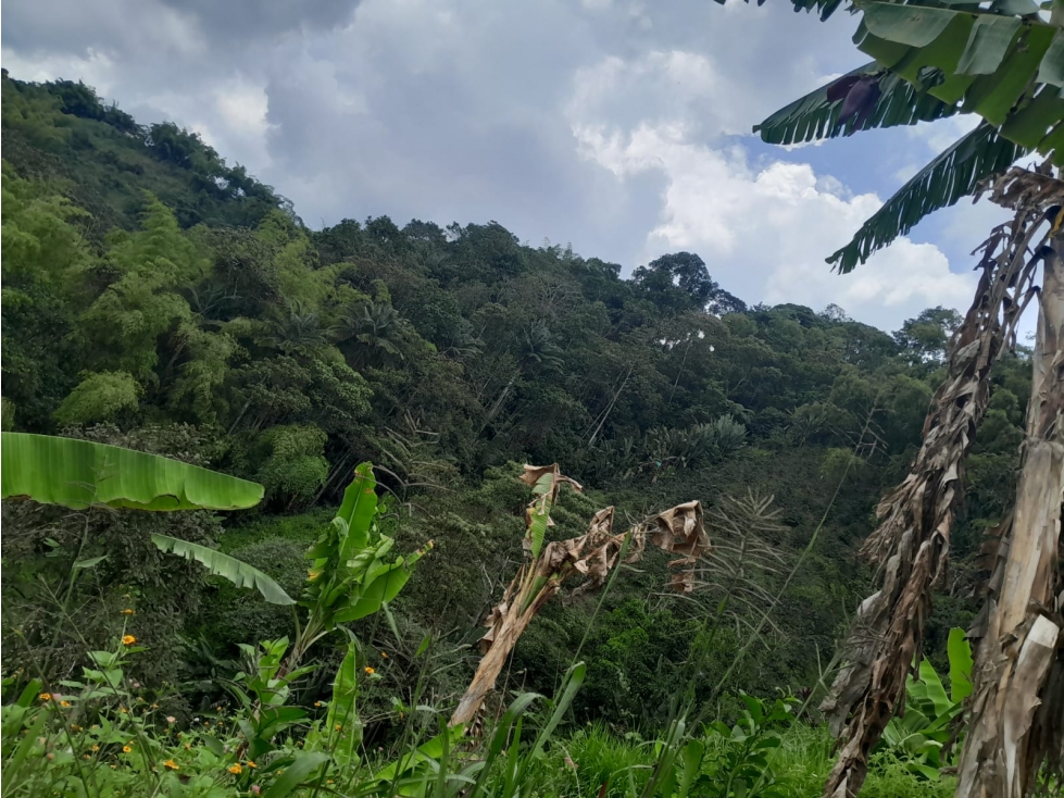 VENDE LOTE POR LA BANANERA LA FLORIDA AREA 2 CUADRAS PENDIENTE POCO — foto 2