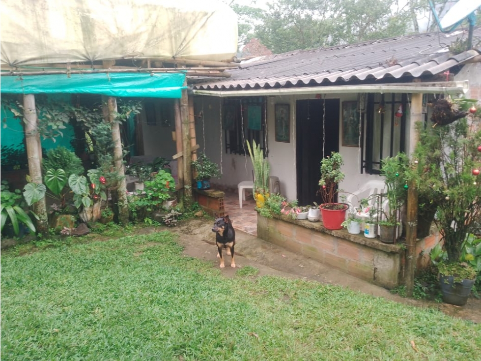 SE VENDE FINCA ENTRE SANTA ROSA Y CHINCHINA DE PLATANO Y CAFE