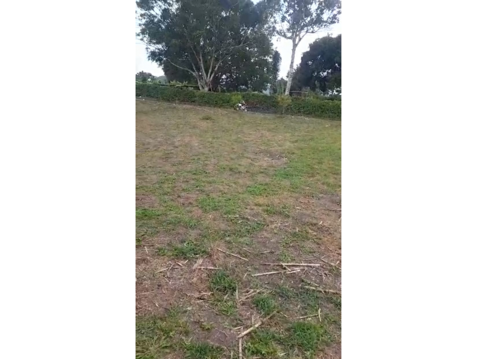 SE VENDE LOTE EN COMBIA VIA A MARSELLA AREA 2500 M2 — foto 2